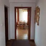 Вили Green Tsigov Chark