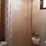 Вили Green * Tsigov Chark