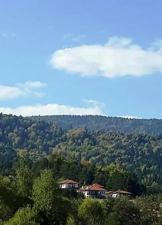 Вили Green Holiday home *