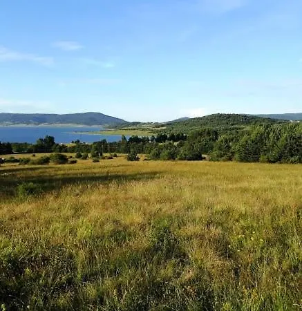 Вили Green Tsigov Chark