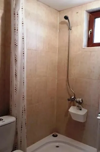 Вили Green * Tsigov Chark