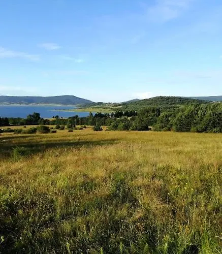 Вили Green Tsigov Chark