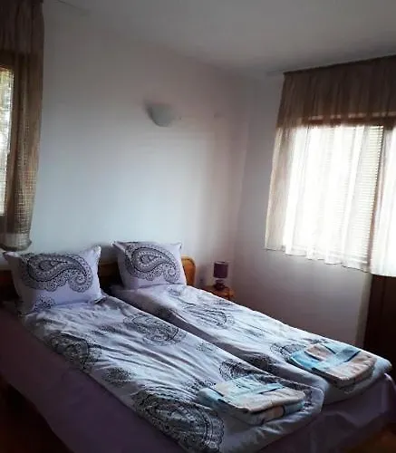 Вили Green * Цигов чарк